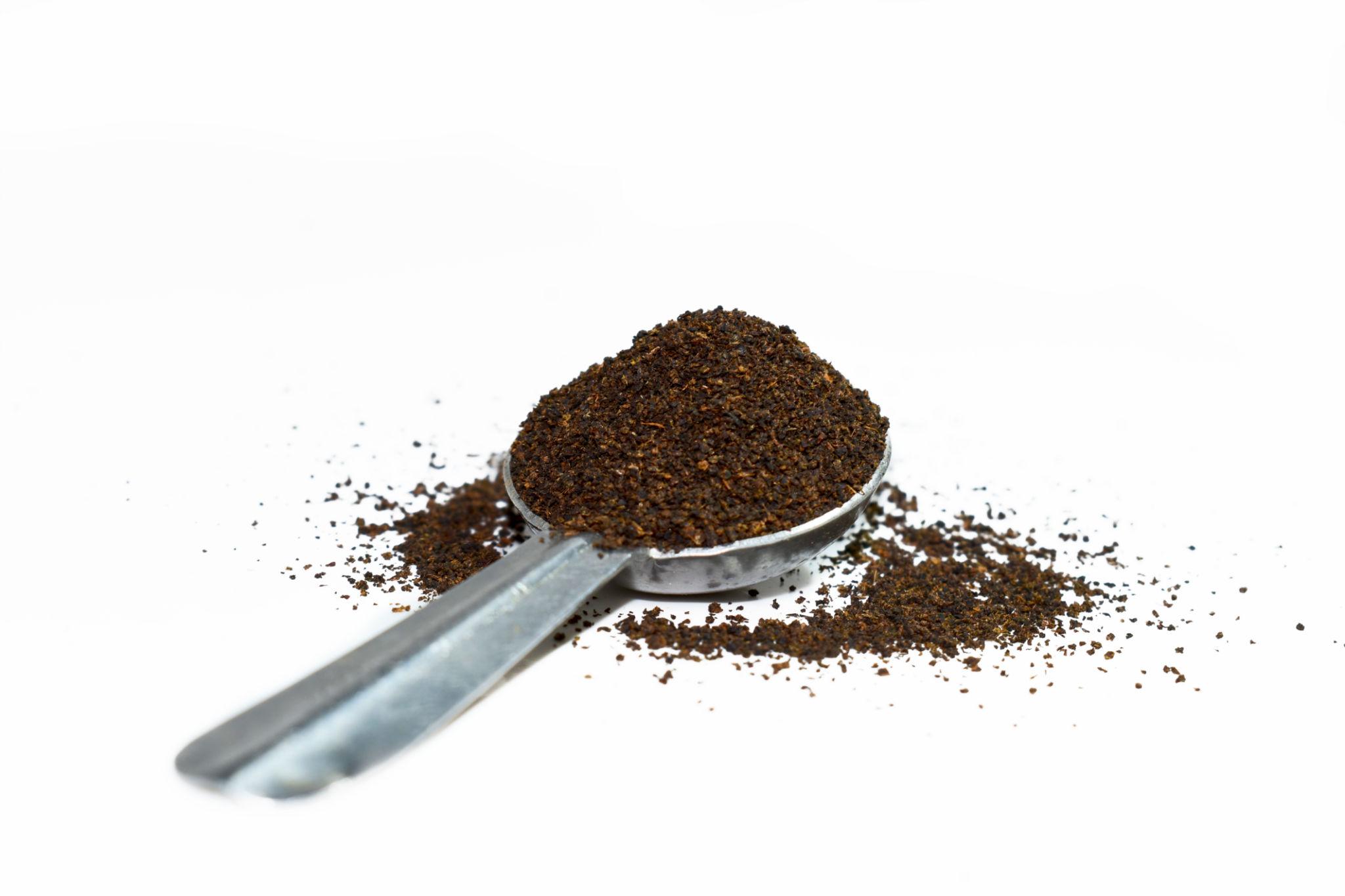 Tea Powder